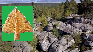 Galette_Bleau.png