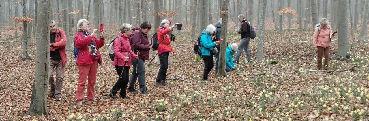 Randonnée pédestre