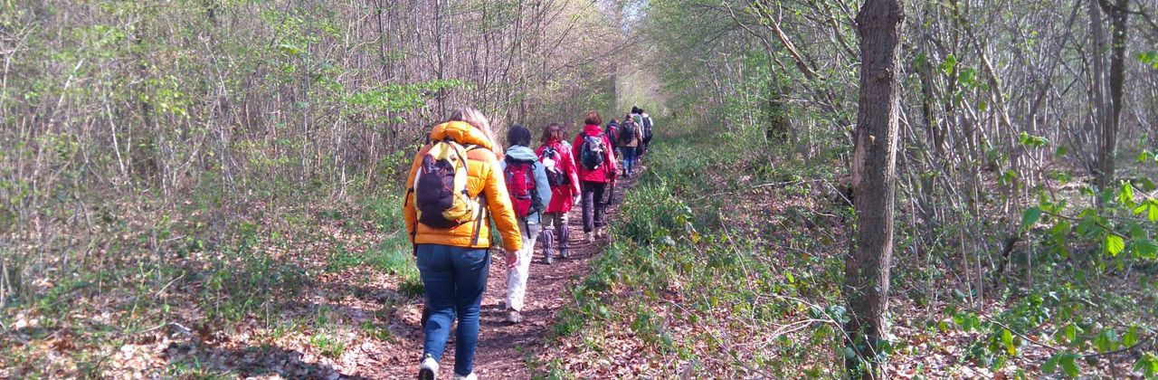 Randonnée pédestre