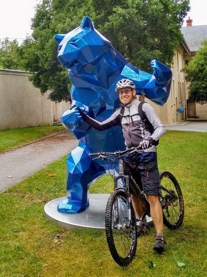 /VTT_JeanPhi_OursBleu_Chamarande.jpg